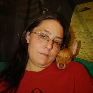 Meet your Posher, Angel